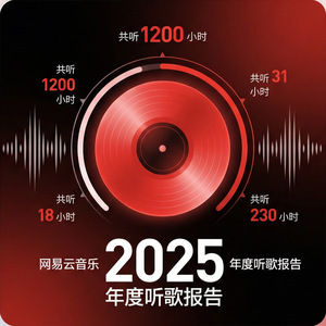 网易云音乐无声音问题解决指南